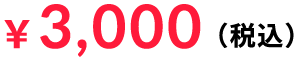 3000円(税込)